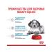 ROYAL CANIN Medium Puppy for Medium Puppies 2-12 months 14 kg - Buy Online on GoSupps.com