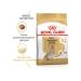ROYAL CANIN Dry food for aging Yorks Yorkshire Terrier 8+ 1.5kg - Buy Online on GoSupps.com