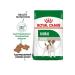 ROYAL CANIN Dry Mini Adult food for small dogs from 10 months 8 kg - Buy Online on GoSupps.com