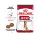ROYAL CANIN Medium ADULT 7+ 4 kg 4 kg - Buy Online on GoSupps.com
