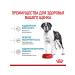 ROYAL CANIN Giant Junior for puppies from 8 months. giant breeds 3.5 kg - Buy Online on GoSupps.com