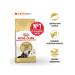 ROYAL CANIN Persian Adult 4 kg food