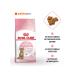 ROYAL CANIN Feed for sterilized kittens Kitten Sterilized 3.5 kg