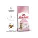 ROYAL CANIN Feed for sterilized kittens Kitten Sterilized 3.5 kg - Buy Online on GoSupps.com