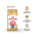 ROYAL CANIN British Shorthair Kitten food for British kittens 2kg