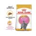 ROYAL CANIN British Shorthair Kitten food for British kittens 2kg - Buy Online on GoSupps.com
