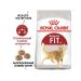 ROYAL CANIN Feed for moderately active cats from 1 year Fit 32 4 kg - Buy Online on GoSupps.com