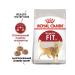 ROYAL CANIN Feed for moderately active cats from 1 year Fit 32 4 kg - Buy Online on GoSupps.com