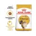 ROYAL CANIN Feed for Siberian cats from 1g. Siberian Adult 2 kg - Buy Online on GoSupps.com
