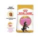 ROYAL CANIN Main Coon Kitten Dry food for kittens of the Maine Kun breeds 0.4kg - Buy Online on GoSupps.com
