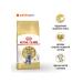 ROYAL CANIN British shorthair adult for British cats 4 kg