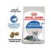 ROYAL CANIN Dry food for aging domestic cats Indoor 7+ 1.5 kg - Buy Online on GoSupps.com