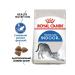 ROYAL CANIN Adult cat food living in the indoor room 2 kg - Buy Online on GoSupps.com
