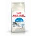 ROYAL CANIN Adult cat food living in the indoor room 2 kg - Buy Online on GoSupps.com