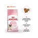 ROYAL CANIN Dry food for kittens and pregnant. Koshka Mother & Babycat 2kg