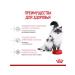 ROYAL CANIN Dry food for kittens and pregnant. Koshka Mother & Babycat 2kg - Buy Online on GoSupps.com