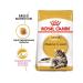 ROYAL CANIN Main Coon Adult Cats Main-Cun 4 kg - Buy Online on GoSupps.com