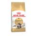 ROYAL CANIN Main Coon Adult Cats Main-Cun 4 kg - Buy Online on GoSupps.com