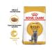 ROYAL CANIN British shorthair adult for British cats 2 kg - Buy Online on GoSupps.com