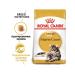 ROYAL CANIN Main Coon Adult Cat Main-Kun cats 2 kg - Buy Online on GoSupps.com