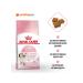 ROYAL CANIN Dry food for kittens from 4-12 months Kitten 2 kg