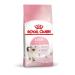 ROYAL CANIN Dry food for kittens from 4-12 months Kitten 2 kg - Buy Online on GoSupps.com