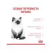 ROYAL CANIN Dry food for kittens from 4-12 months Kitten 2 kg - Buy Online on GoSupps.com