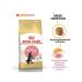 ROYAL CANIN Main Coon Kitten Dry food for kittens of the Maine Kun breeds 2kg