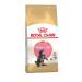 ROYAL CANIN Main Coon Kitten Dry food for kittens of the Maine Kun breeds 2kg - Buy Online on GoSupps.com
