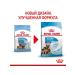 ROYAL CANIN Dry food for large puppies up to 2 months Maxi Starter 4 kg - Buy Online on GoSupps.com