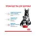 ROYAL CANIN Dry food for large puppies up to 2 months Maxi Starter 4 kg - Buy Online on GoSupps.com