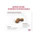 ROYAL CANIN Cat food GastroinTestinal Moderate Calorie 2 kg - Buy Online on GoSupps.com