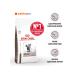 ROYAL CANIN Hepatic food for cats liver disease 2 kg