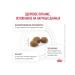 ROYAL CANIN Hepatic food for cats liver disease 2 kg - Buy Online on GoSupps.com