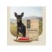 SAVITA Dog food for small breeds with lamb and brown rice 1.5 kg - Buy Online on GoSupps.com