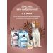 Florida GastroinTestinal canned food for dogs with a hump 24x100g - Buy Online on GoSupps.com