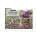 The Ural Nature Reserve Thyme for tea dried - Buy Online on GoSupps.com