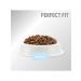 PERFECT FIT Dry food for adult cats of kidney health with l - Buy Online on GoSupps.com