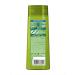 Garnier Hair shampoo strengthening 2B1 400 ml - Buy Online on GoSupps.com