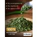 Borago Stevia leaves dried grass 80 grams - Buy Online on GoSupps.com
