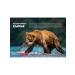 Omega 3 1000 mg wild Kamchatka salmon 42 diet - Buy Online on GoSupps.com