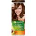 Garnier Hair dye tone 4.3 gold chestnut 110 ml