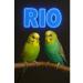 RIO Vitamin-mineral granules for small birds 120g - Buy Online on GoSupps.com