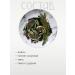 Taiga Cache Herbal tea "Thai mohito" with mint and fir - Buy Online on GoSupps.com