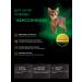 QUATTRO Feed for kittens Abyssinian with lamb 2 kg - Buy Online on GoSupps.com