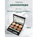 Darac Consilee palette 6 in 1 tone 2 for leveling skin tone
