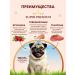 Chester Wet feed for dogs of small breeds with veal-240g x 12pcs - Buy Online on GoSupps.com