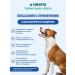 Chester Wet feed for dogs for gastrointestinal diseases - 240 g x 12 pcs - Buy Online on GoSupps.com