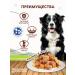 Chester Wet feed for dogs of all breeds with lamb - 850g x 6pcs - Buy Online on GoSupps.com