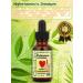 ChildLife Echinacea echinacea natural orange 30 ml - Buy Online on GoSupps.com